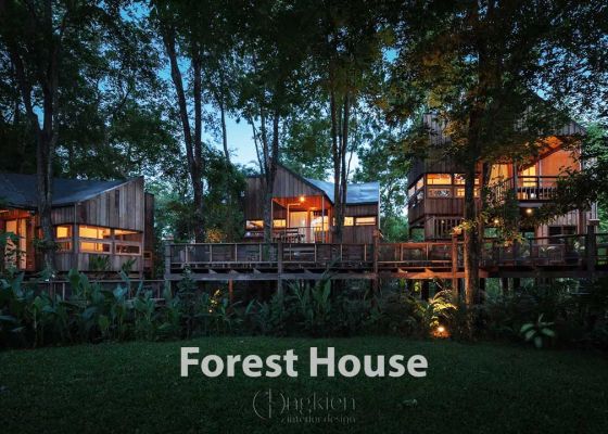 Forest House bungalow trên cây ở Thái Lan