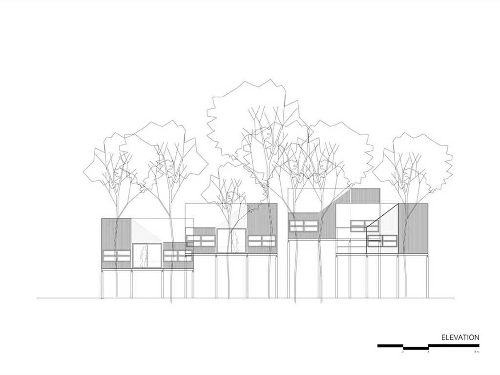 Bản vẽ thiết kế bungalow trên cây mặt ngang thể hiện độ cao