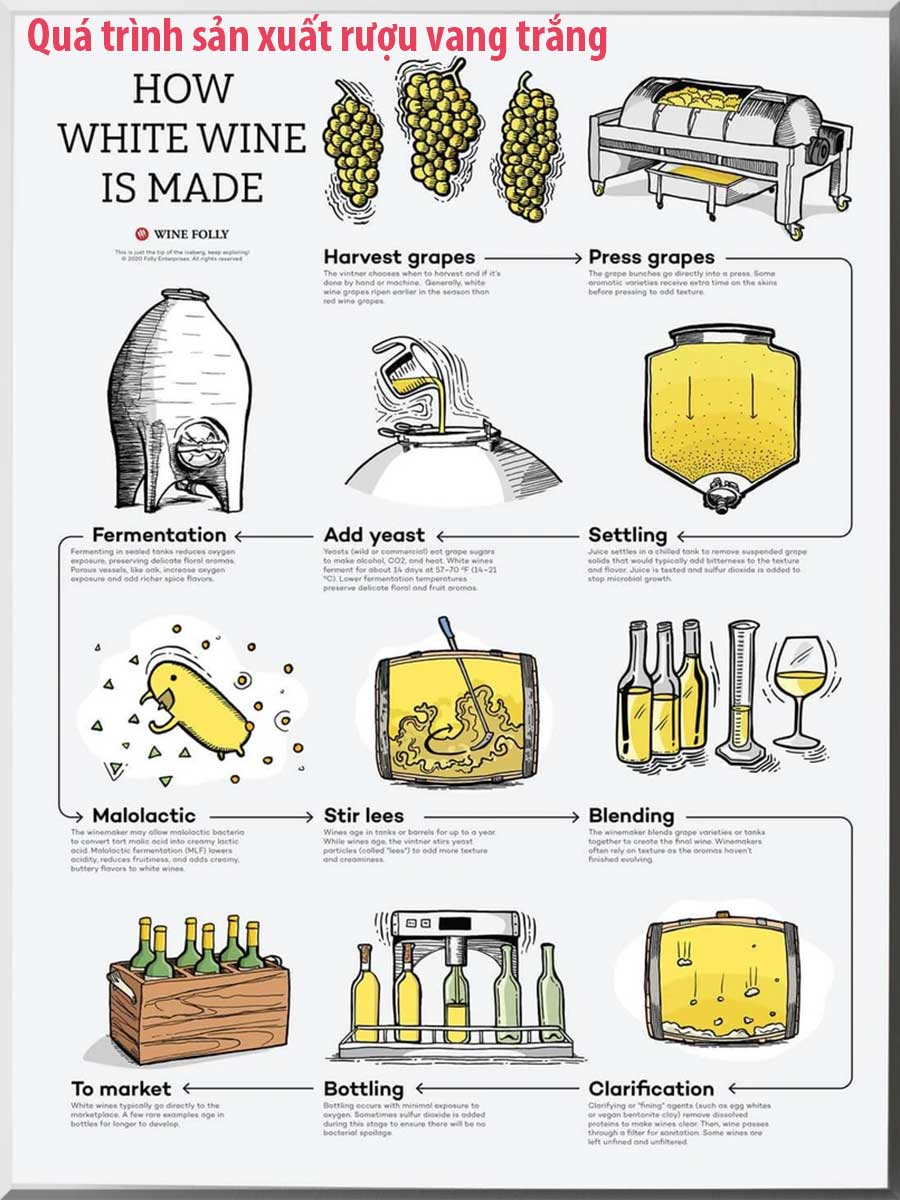 quá trình sản xuất rượu vang trắng